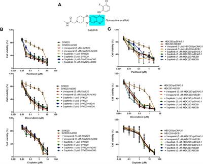 Sapitinib Reverses Anticancer Drug Resistance in Colon Cancer Cells Overexpressing the ABCB1 Transporter